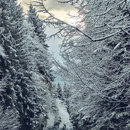 펜션 Beskidzki Kurow Kurow (Lesser Poland)