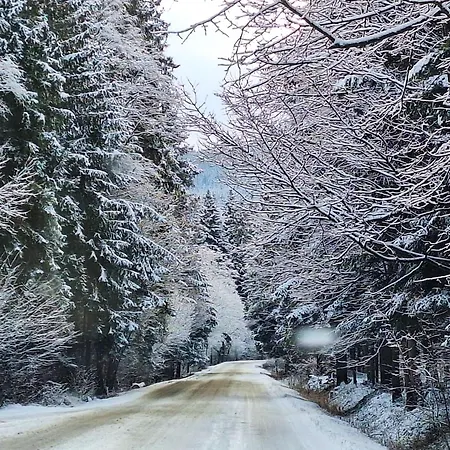 Beskidzki Kurow