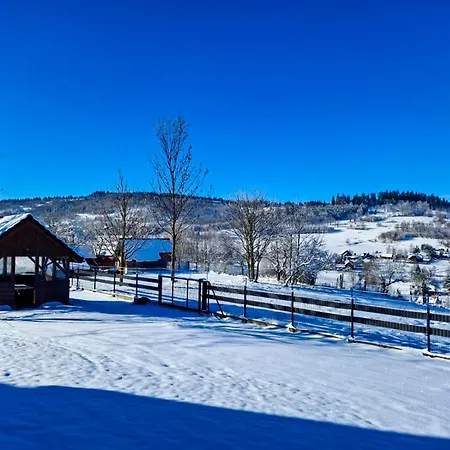 Beskid House Kurow Holiday home