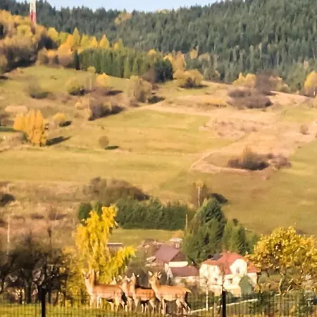 Beskid House Kurow *